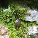 Profile Picture of Margo Dyer (@margodd23) on Instagram