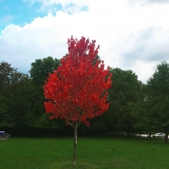 Izaura Izaura - Poshmark Profile Picture of Izaura Izaura (@babariba) on Poshmark