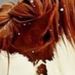 Profile Picture of Makayla Sims (@makaylas1030) on Pinterest