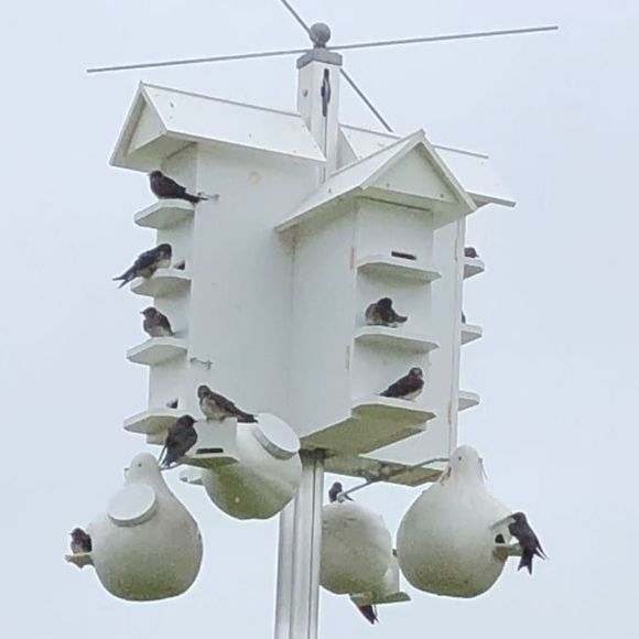 Profile Picture of Nathan Fausnaught (@nfausnaught) on Poshmark