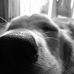 Profile Picture of Solomon Chase (@solomon.chase.79) on Facebook