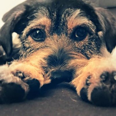Profile Picture of Kevin Barlow (@KevinMBarlow) on Twitter
