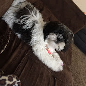 Profile Picture of Joseline Martinez (@joselinemartinez4135) on Youtube