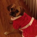 Profile Picture of ashley rivers (@ashleyrivers494) on Instagram