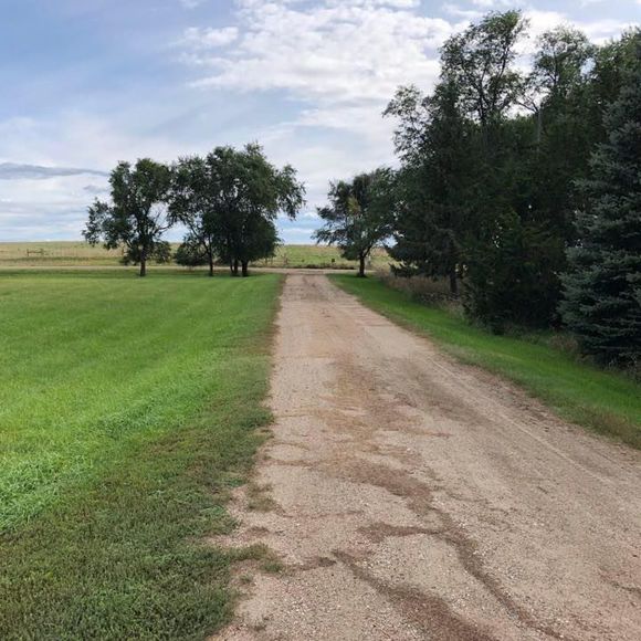 Profile Picture of Dan Wieseler (@danwieseler) on Poshmark