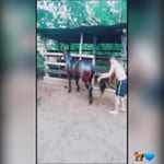 Profile Picture of luissilvera (@luissilvera2819) on Instagram