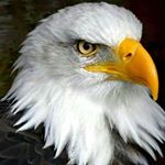 Profile Picture of Pierval _Ayem (@pierval_ayem) on Instagram