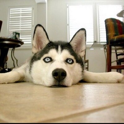 Profile Picture of Scott Welbaum (@ScottWelbaum) on Twitter