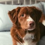 Profile Picture of Mosley Joseph (@tollermosley) on Instagram