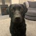 Profile Picture of Barry Calvert (@barry.calvert.946) on Facebook