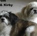 Profile Picture of Bailey Kirby (@bailey.kirby.9) on Facebook