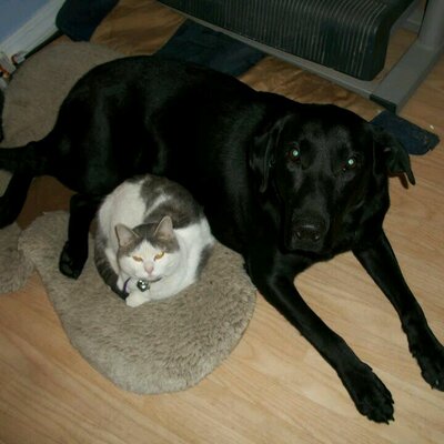 Profile Picture of Patrick P Gartner (@Gartner2P) on Twitter