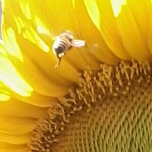 Profile Picture of Victor Decker (@victor.decker.10) on Facebook