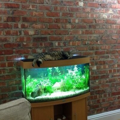 Profile Picture of Eileen Bradley (@eileen_eil71) on Twitter