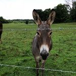 Profile Picture of Jameson Cook (@cook.jameson) on Instagram