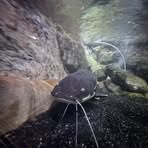 Profile Picture of Ryan Matteo (@Ryan-Matteo) on Facebook