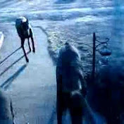 Profile Picture of Doug Norris (@dougno65) on Youtube