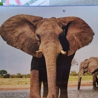 Profile Picture of Chris Castillo (@CWCASTLE) on Twitter