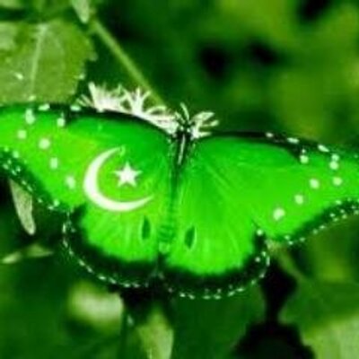 Profile Picture of Shahid Rathore (@rathoreshahid) on Twitter