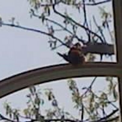 Profile Picture of Sandy Recker (@Sandy236) on Twitter