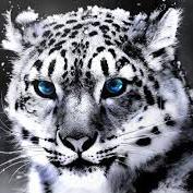 Profile Picture of Ian Koch (@IanKoch13) on Twitter