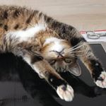 Thomas Becher - Instagram Profile Picture of Thomas Becher (@tomm_bee) on Instagram