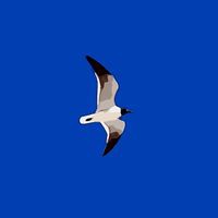 Profile Picture of Kathy Duff (@kathy-duff-12) on Quora