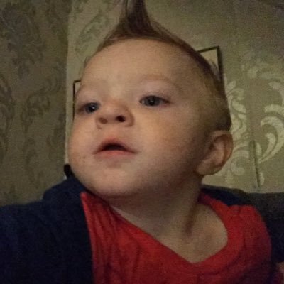 Profile Picture of Stephen Kinsella (@stevodc) on Twitter