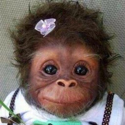 Profile Picture of Nancy Fleming (@nancyfleming18) on Twitter