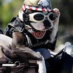 Profile Picture of Richard Mumby (@krmumby99) on Instagram