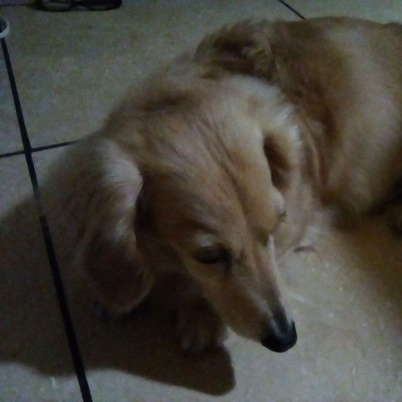 Profile Picture of Cheryl James (@cheryljames1516) on Poshmark