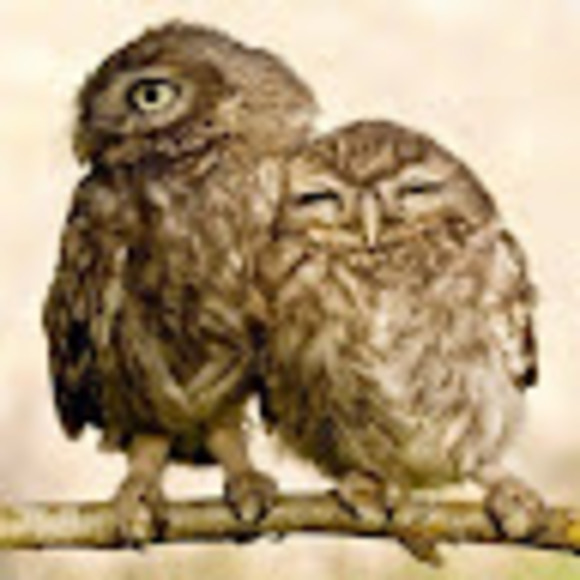 Profile Picture of Chantal Gendron (@gendroune) on Poshmark