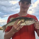Profile Picture of David Grady (@davidg_fishing) on Instagram