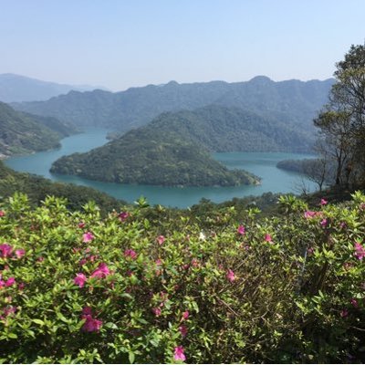 Profile Picture of TinaLiu (@TinaLiu30027281) on Twitter