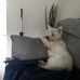 Profile Picture of Joyce Keiller (@joyce.keiller.94) on Facebook