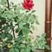 Profile Picture of Júlia Straub (@StrbJulia) on Pinterest