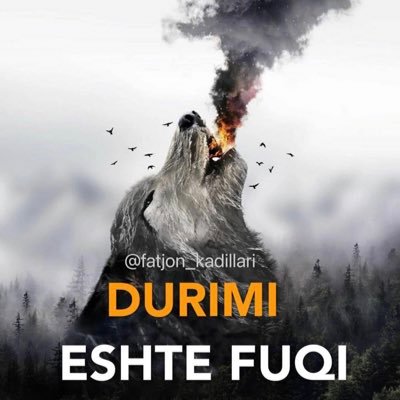 Blerim Kurhasku - Twitter Profile Picture of Blerim Kurhasku (@BKurhasku) on Twitter