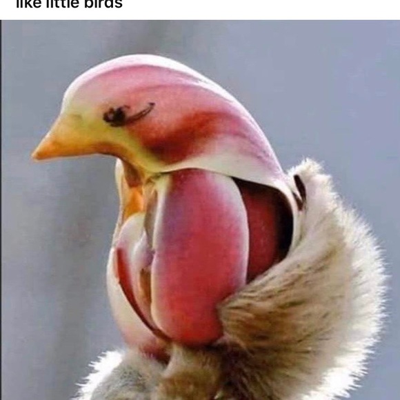 Profile Picture of Oddvarks Shop (@oddvarks) on Poshmark