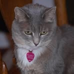 Profile Picture of Sheryl Fosburgh (@sheryl.fosburgh.9) on Facebook