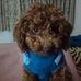 Profile Picture of Gloria Ferrante (@gloria.ferrante.921) on Facebook