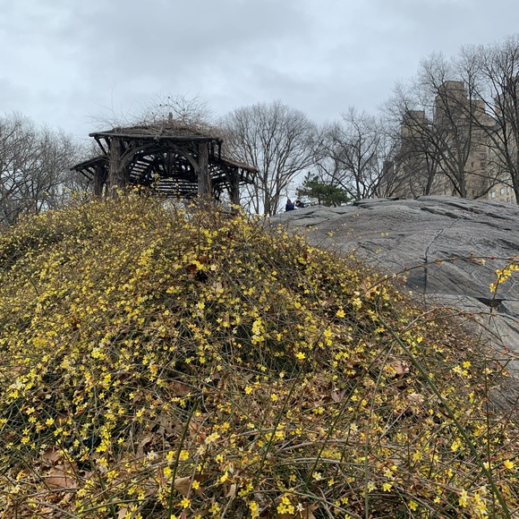 Profile Picture of Aline Mar (@incredibleindia) on Poshmark