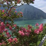 Profile Picture of Anne Mathey (@annemathey) on Instagram