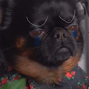 Profile Picture of Aaron Castro (@AaronCastro-w7s) on Youtube