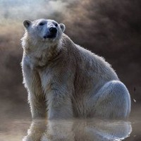 Profile Picture of Aaron Cupp (@aaron-cupp-5) on Quora