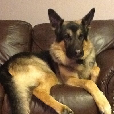 Profile Picture of Shelly Flint (@flint_shelly) on Twitter