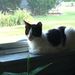 Profile Picture of Bailey Roach (@baileyr2673) on Pinterest