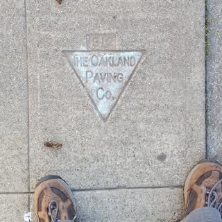 Profile Picture of Mark Wessels (@a_tree_is_nice) on Instagram