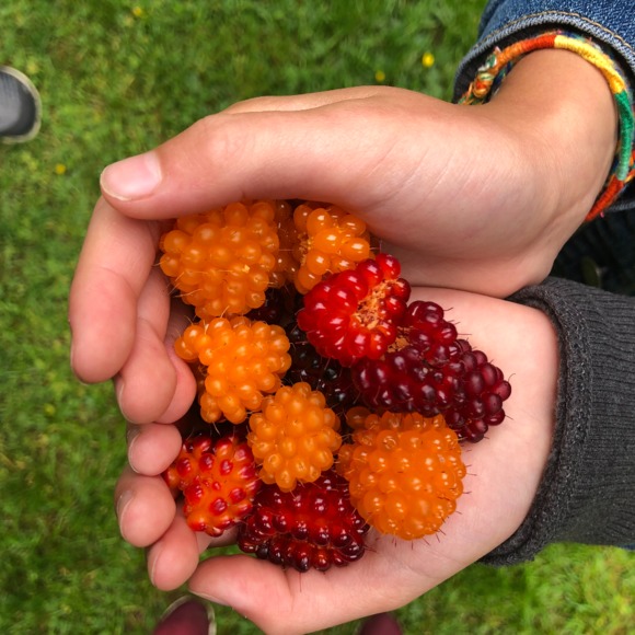 Profile Picture of Blake Thomason (@tlbpmom) on Poshmark