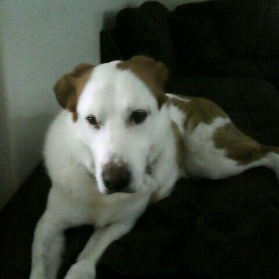 Profile Picture of Robert Caudle (@jaymesboy11) on Twitter