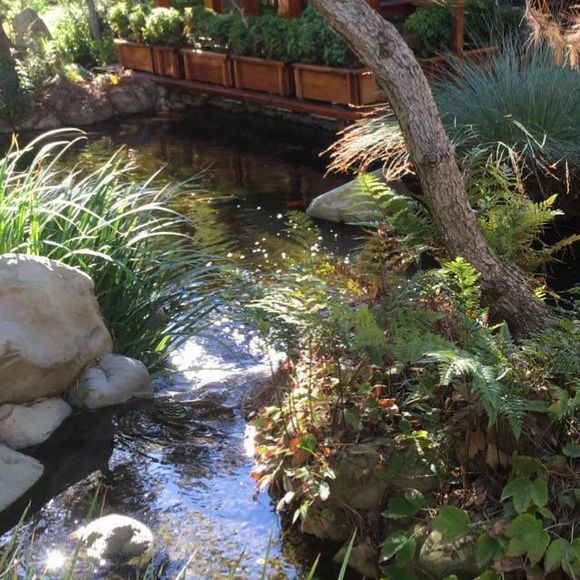 Profile Picture of Jess Alvarez (@jessalvarez143) on Poshmark